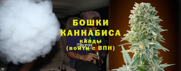 хмурый Нея