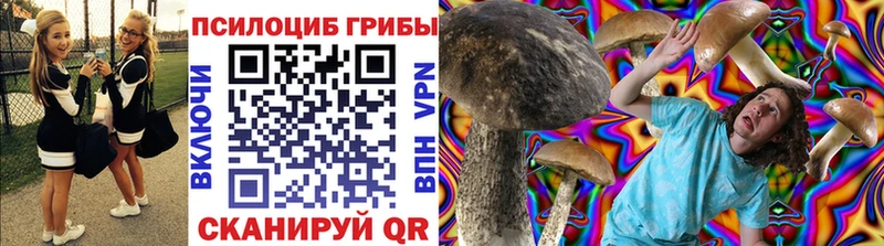 где можно купить   Ува  даркнет формула  Псилоцибиновые грибы прущие грибы 